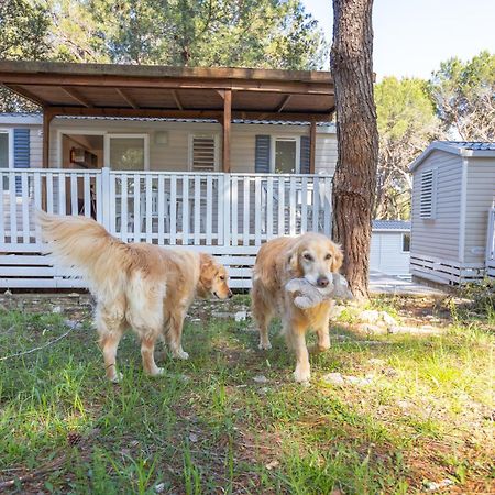 Mobile Homes Pine Sea 班约勒 外观 照片