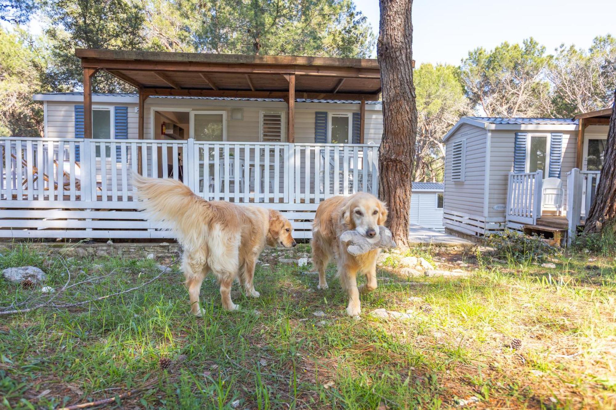 Mobile Homes Pine Sea 班约勒 外观 照片